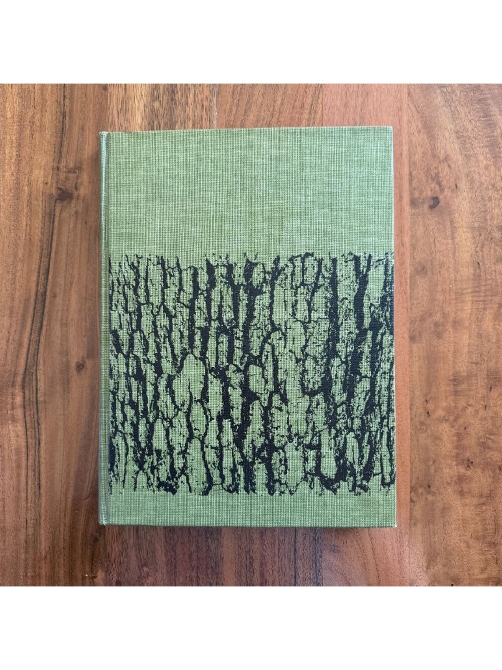 1965 Glassboro State College Yearbook NJ Oak Annual Vintage